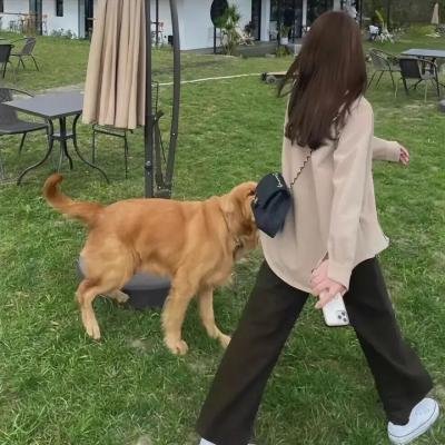 白狐·情缘